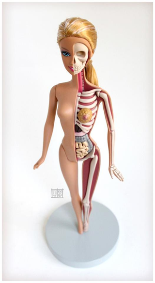 Illustration for article titled These sculptures reveal the muscles, bones, and organs inside toys